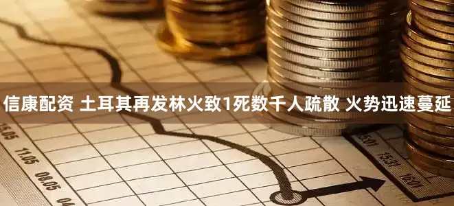 信康配资 土耳其再发林火致1死数千人疏散 火势迅速蔓延