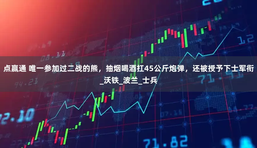 点赢通 唯一参加过二战的熊，抽烟喝酒扛45公斤炮弹，还被授予下士军衔_沃铁_波兰_士兵
