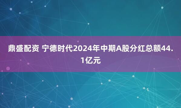 鼎盛配资 宁德时代2024年中期A股分红总额44.1亿元