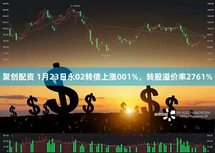 聚创配资 1月23日永02转债上涨001%,转股溢价率2761%