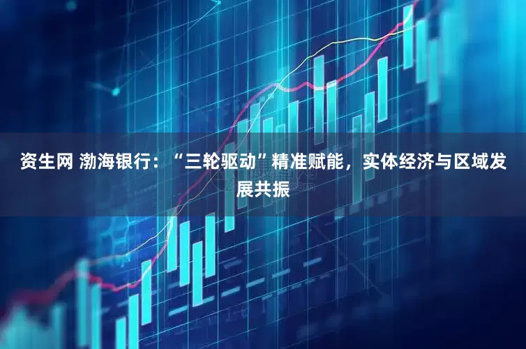 资生网 渤海银行：“三轮驱动”精准赋能，实体经济与区域发展共振